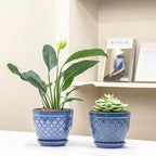 Sureasy Ceramic Indoor Plant Pots - 5.6 Inch Flower Pots for Plants with Drainage Hole and Saucer, Embossed Planter for Succulents, Orchid, Cactus, Indoor Home Decor, Set of 4, Blue