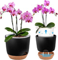 7.2 Inch Self Watering Orchid Pots for Indoor Plants,Macetas para Orqudeas,Flower Pots for Indoor Plants with Holes（Black）