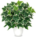 Artificial Ivy Plants in White Pot - 15.7" Fake Plant Indoor Silk Faux Ivy Greenery Artificial Greenery Potted Small Faux Potted Plant Fake Tree for Office Desk Home Decor Shelf Bathroom Decorations