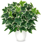 Artificial Ivy Plants in White Pot - 15.7" Fake Plant Indoor Silk Faux Ivy Greenery Artificial Greenery Potted Small Faux Potted Plant Fake Tree for Office Desk Home Decor Shelf Bathroom Decorations