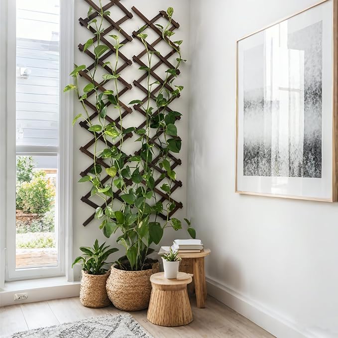 4 Pcs Expandable Garden Trellis, 13" x 68" Thickened Wooden Lattice Trellis for Climbing Plants Outdoor Ivy Vine Rose Clematis for Garden Fence Wall Patio Room Decor (4)