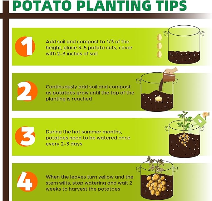 10 Pack 3 Gallon Grow Bags, Thickened Nonwoven Fabric Planter Pots with Handles, Heavy Duty 300G Garden Pots for Tomato, Potato and Vegetable