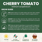 Cherry Tomato – 200 Premium Seeds for Planting – Sweet, Prolific, High-Yielding Heirloom for the 2026 Season – 600-Milligram Pouch