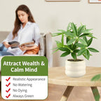 Small Money Tree Bonsai 11.4 inch Artificial Desk Plant in White Ceramic Pot, Realistic Indoor Faux Potted Pachira Money Plant for Home Office Living Room Decor(Maintenance Free)