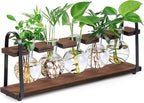 THYGIFTREE Plant Propagation Stations with Wooden Stand, Desktop Retro Plant Terrarium Bulb Vase for Indoor Hydroponic Flowers, Tabletop Glass Planter Housewarming Gifts for Plant Lovers