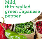 Bonnie Plants Shishito Pepper 19.3 oz. 4-Pack