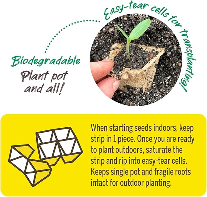 Ferry Morse Jiffy Seed Starting Strips - Biodegradable, Plant Starter Trays - 100 Strips (1000 Cells) - Peat