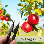 JINJIAN Bonsai Pruning Scissors 12PCS - Small Pruning Shears Bud Leaves Trimmer Garden Shears for Plants, Gardening Clippers for Flower Bonsai Trimming Pruners