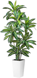 Artificial Dracaena Tree 7FT Tall Fake Plant with WhitePlanter - Realistic Faux Dragon Tree with Tall Planter - Indoor Floor Plant for Home, Office,Mall, Living Room, Bedroom Decor