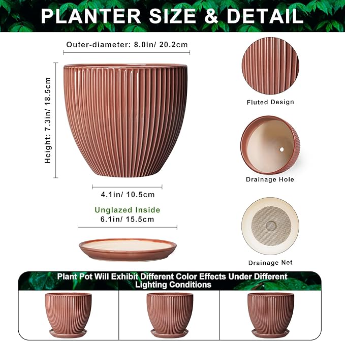 8 Inch Ceramic Flower Pots, Plant Pots Indoor with Drainage Hole and Saucer, Round Flower Pot for Indoor Plants, Decorative Modern Planter, Garden House Decor, Gardening Gifts, Rust Red