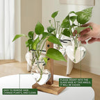 Plant Terrarium Propagation Stations with Wooden Stand, Glass Vase for Indoor Hydroponics Home Garden Office Decoration Gift for Women - 4 Love Bulb Vase