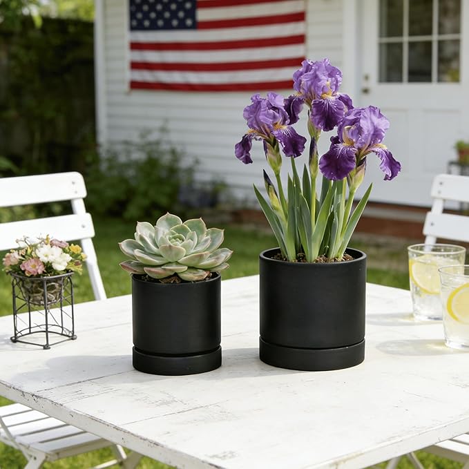 GreenShip 2pcs Plant pots, self Watering pots for Indoor Plants (Black, 4.7in+6in)