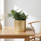 Metal Plant Pot with Drainage Hole,Mid Century Modern 7 inch Round Pot Indoor Outdoor Planters Gift for Decorative Pots of Tabletop Living Room Bedroom Gold