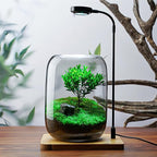 SARUFO Glass Plant Terrarium Kit, 6.3"X8.6" Micro-Landscape Vase with Light, Snowman and Pine Trees, for Home Office Tabletop Decoration, Wardian, Unique