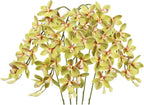 IPOPU 5 Pcs Real Touch Orchids Flowers Green Latex Artificial Orchid Stems for Wedding Party DIY Bridal Bouquet Table Centerpiece Arrangement Office Home Decor
