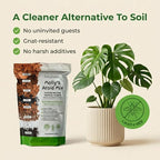 Molly's Aroid Mix - Premium Soilless Potting Mix for Houseplants - Fast Draining, Chunky & Easier to Water vs. Soil for Indoor Plants - with Bark, Coco Chips, Worm Castings, Mycorrhizae 5 Dry Quarts