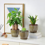 Sureasy Ceramic Indoor Plant Pots, 5.6 Inch Flower Pots for Plants with Drainage Hole and Saucer, Embossed Planter for Succulents, Orchid, Cactus, Indoor Home Decor, Set of 4, Green