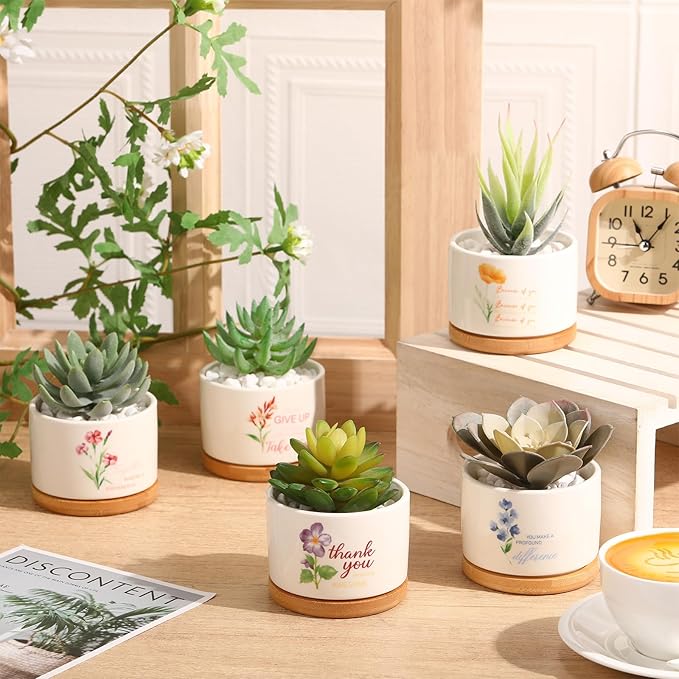 Funnymoom 6 Pcs Inspirational Succulent Pot Bulk Teacher Appreciation Gift Floral Ceramic Planter with Bamboo Tray Thank You Gifts for Volunteer Coworker Employee Office, Plant Excluded (Classic)