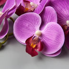 DILATATA Blooming Phalaenopsis Orchid 31.5" Tall Real Touch Artificial Orchid with 9 Large Flowers Fake Orchids Artificial Flowers for Decoration Home Arrangement-Purple Orchids Flowers 2pcs