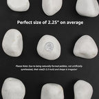20 lbs White Polished Decorative Stones, 2-3 Inch Polished Rocks, Ideal for Garden Landscaping, Potted Plants, Pathways, Vase Fillers, and Aquarium Decoration(Pure White, Weight: 20 LB)