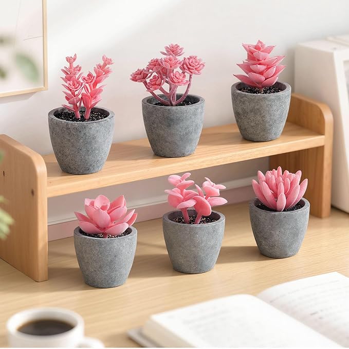 DomeStar Set of 6 Artificial Succulent Plants Potted, Assorted Decorative Pink Faux Succulent Potted Fake Cactus Cacti Plants with Pots