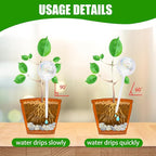 Pynqdfu 4 Pcs Large Plant Watering Globes,Self Watering Planter Insert Plant Accessories,Rainbow Gradient Glass Watering Devices for Vacation,Travel,Indoor,Outdoor,Home,Garden,10.6" L×3.15" D