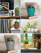 6 Inch Plant Pots, 6 Pack Indoor Flower Pots, Planters with Drainage Holes and Trays for Orchids, Violets, Succulents, Herbs, and Other Plants,Corolful