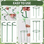 12 Pack Plant Support Stakes Sets - Versatile Plant Cages, Stackable Garden Flower Support， Small Plant Stakes for Indoor Plants,Tomato,Monstera, Peony, Hydrangea, Climbing Plants