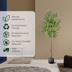 7FT Artificial Olive Tree,84 Inch Faux Olive Tree with Black Base Pot- Fake Olive Plant Potted - Artificial Silk Tree for Home Office Living Room Corner Decor Indoor-1 Pack