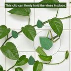 HNHMT 60 pcs Plant Wall Clips with 72 Pieces Acrylic Adhesive Sticker - Plant Climbing Wall Fixture Clips Plant Fixer Invisible Wall Vines Fixing Clips Self-Adhesive Hook Plant Clips