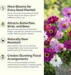 Eden Brothers Purple Rain Flower Mixed Seeds for Planting, 5 lb, 2,400,000+ Seeds with Zinnia Purple Prince & Violet Queen, Cosmos, Attracts Pollinators, Plant in Spring, Zones 3, 4, 5, 6, 7, 8, 9, 10
