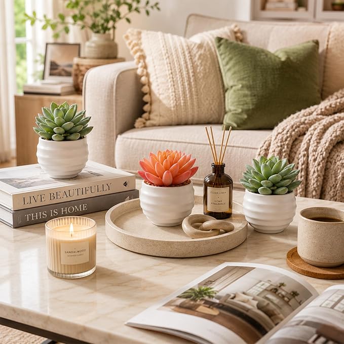 Tiita Artificial Faux Succulents in Pots Fake Plants Ceramic Arrangement Planter for Women Desk Small Mini Tiny Decoration for Home Office Desk Window