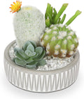 Artificial Cactus Plants Indoor, 5.5" Assorted Small Faux Succulent in Pots Fake Potted Desk Plant with Concrete Bowl Mini Succulents Artificial Cactus Decor for Home Office Bathroom Table Shelf