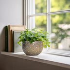 Ceramic Plant Pots - 6 Inch Plant Pot with Drainage Hole and Plug, Unique Planter for Indoor Plants Outdoor, Modern Planter, Round Orchid Pot, Room Decor, House Warming Gifts, Speckled-brown
