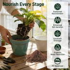29QT Potting Soil Mix for Indoor Plants - Contains Perlite, Peat Moss, Coco Coir & Rice Charcoal, Natural & Organic Material with Well-Draining, Light & Aerated Texture for Healthy Roots & Fast Growth
