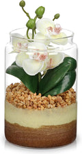 White Orchids Artificial Flowers with Vase, Small Faux Orchid Arrangement Fake Orchids Plant in Terrarium Jar Small White Orchid Centerpieces for Kitchen Dining Room Tables Bathroom Nightstand Decor