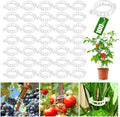 100 Pcs Plastic Plant Clip, Plant Support Clips for Support Tomato Grape Vine Vegetables, Reusable Trellis for Climbing Plants Outdoor, Plant Wall Clips to Grow Upright Makes Plants Healthier