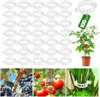 100 Pcs Plastic Plant Clip, Plant Support Clips for Support Tomato Grape Vine Vegetables, Reusable Trellis for Climbing Plants Outdoor, Plant Wall Clips to Grow Upright Makes Plants Healthier