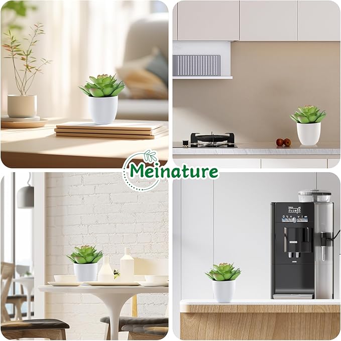 Lifelike Artificial Succulent Plants in White Large Basin - 5.5 Inch Diameter Large Flowers, Green & White, Ideal for Home and Office Table Decoration