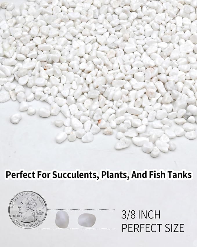 3LB White Succulent & Cactus Gravel Pebbles - 1/4-3/8 Inch Natural Polished River Rocks, Decorative Stones for Plants, Terrariums, Vases, Aquariums & Outdoor Gardening