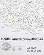 3LB White Succulent & Cactus Gravel Pebbles - 1/4-3/8 Inch Natural Polished River Rocks, Decorative Stones for Plants, Terrariums, Vases, Aquariums & Outdoor Gardening