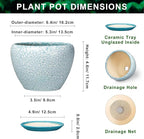 Ceramic Plant Pot - 6 Inch Indoor Planters for Succulent Plants, Round Decorative Flower Pot with Drainage Hole and Saucer, Small Plant Pots, Room Decor, Gifts for Gardeners, Crackle Blue