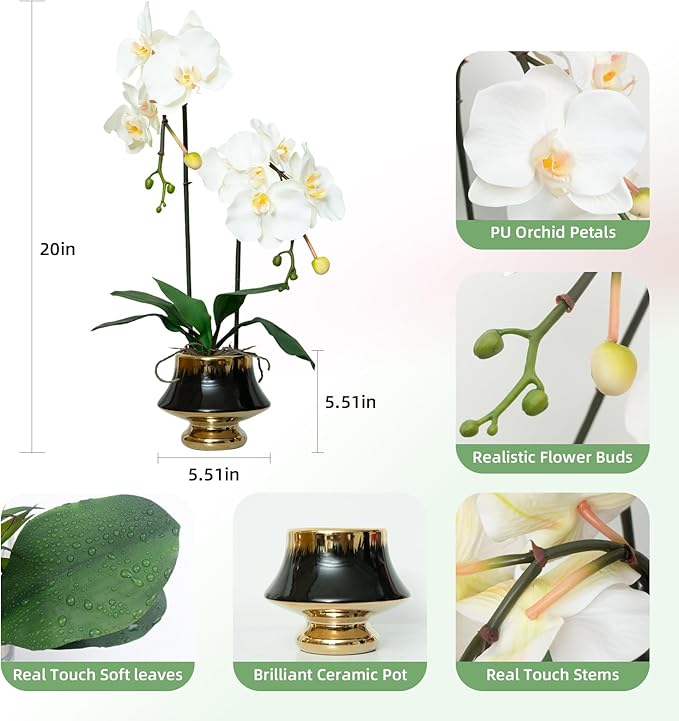 CXGS Orchids Artificial Flowers Realistic Fake Flowers in Ceramic Vase 20" White Faux Plants Indoor Lifelike Soft PU Phalaenopsis for Centerpiece Hotel Home Decor