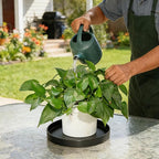 4 Pack 5 inch Plant Saucer Drip Tray, Heavy Sturdy Plastic Planter Flower Pot Drainage Tray Plate Saucers for Indoor Outdoor Garden, Plant Water Drip Trays for pots Base (5", Black)