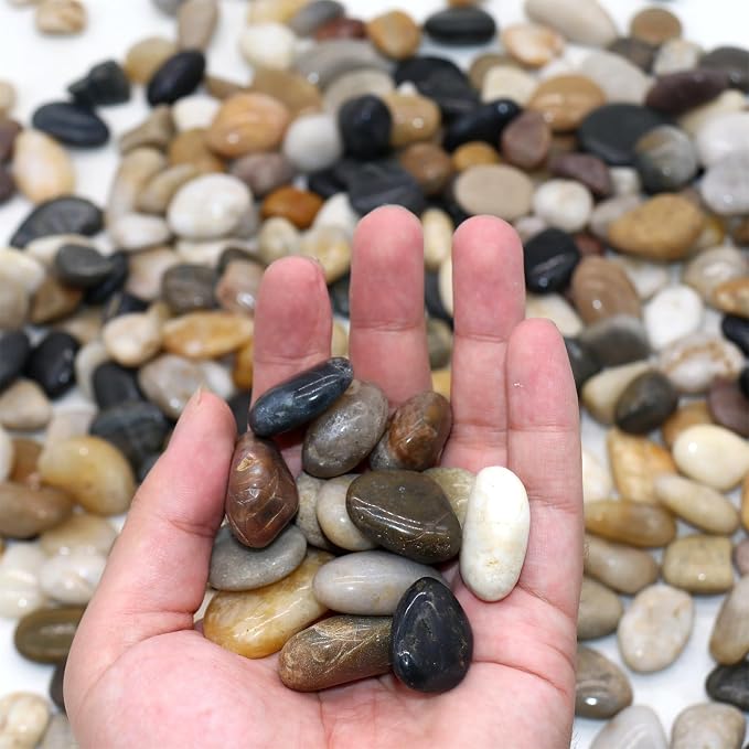 Rocks for Plants. Mixed Color Polished Decorative Pebbles. 0.5 to 1 Inch 18 lbs. for Garden, Landscaping, Indoor, Vase fillers, Crafting, Succulents, pots, Plants