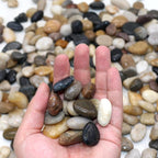 Rocks for Plants. Mixed Color Polished Decorative Pebbles. 0.5 to 1 Inch 18 lbs. for Garden, Landscaping, Indoor, Vase fillers, Crafting, Succulents, pots, Plants