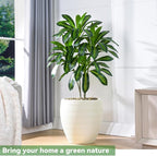 Artificial Dracaena Tree-4FT Fake Plants with White Planter-Artificial Plants Indoor Floor Plant in Pot-Tropical Fake Yucca Potted Tree for Home Office Living Room Decor