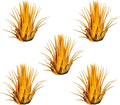 Air Plants - Tillandsia Ionantha - Organically Enhanced Color - Live Arrival Guaranteed - House Plants for Home Decor & Gift (Marigold 5pk)