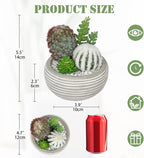 Artificial Cactus Plants Indoor, 5.5" Assorted Small Faux Succulent in Pots Fake Potted Desk Plant with Concrete Bowl Mini Succulents Artificial Cactus Decor for Home Office Bathroom Table Shelf