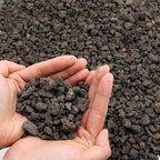 Volcanic Rock for Plants. Black Color Lava Rock. 1/5 Inch - 10 lbs for Potting Soil, Succulents, Pots, Plants, Gardening, Indoor, Crafting, Vase Fillers (Mini, Horticultural - Black Lava, 10)